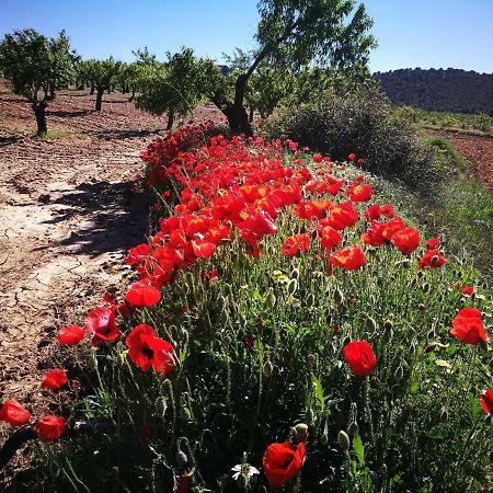 Cortijo Los Soledad El Sauco 外观 照片