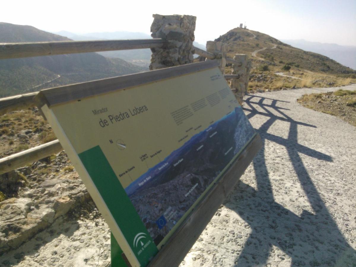 Cortijo Los Soledad El Sauco 外观 照片