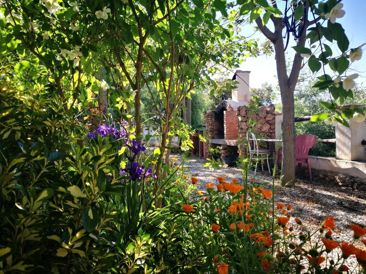 Cortijo Los Soledad El Sauco 外观 照片