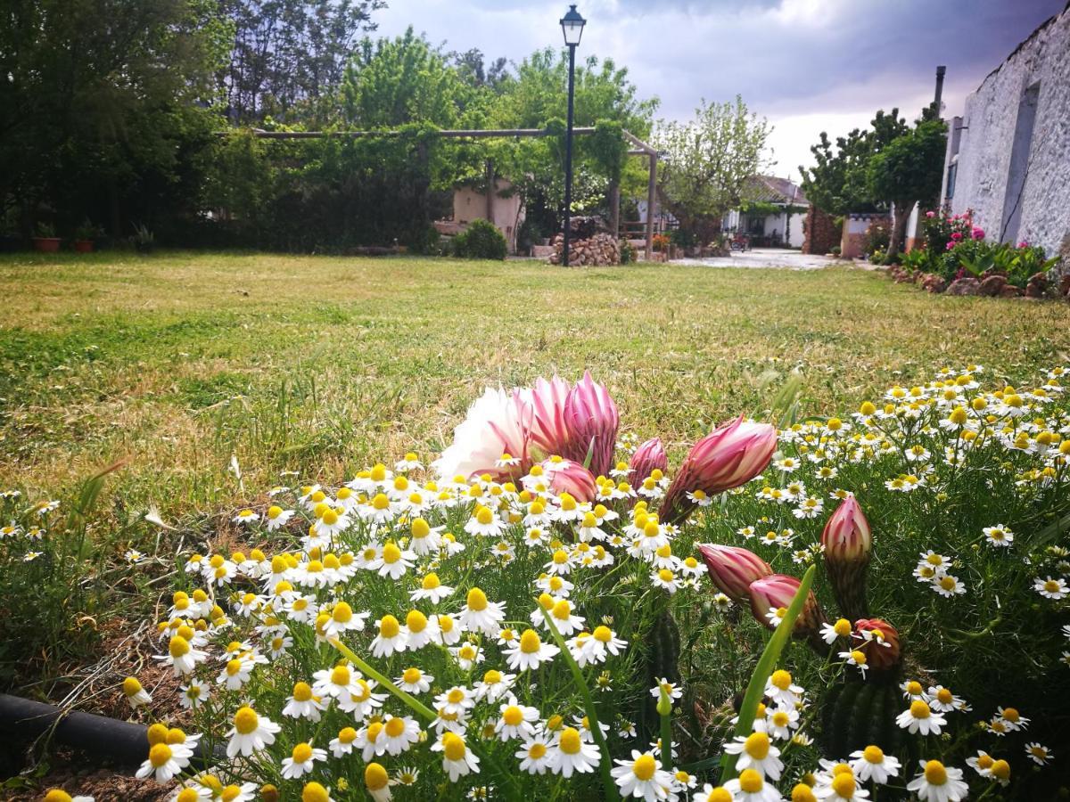 Cortijo Los Soledad El Sauco 外观 照片
