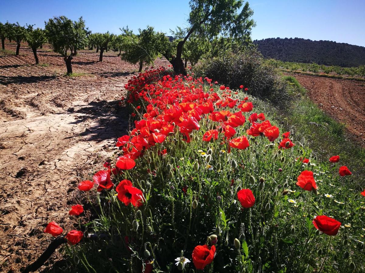 Cortijo Los Soledad El Sauco 外观 照片