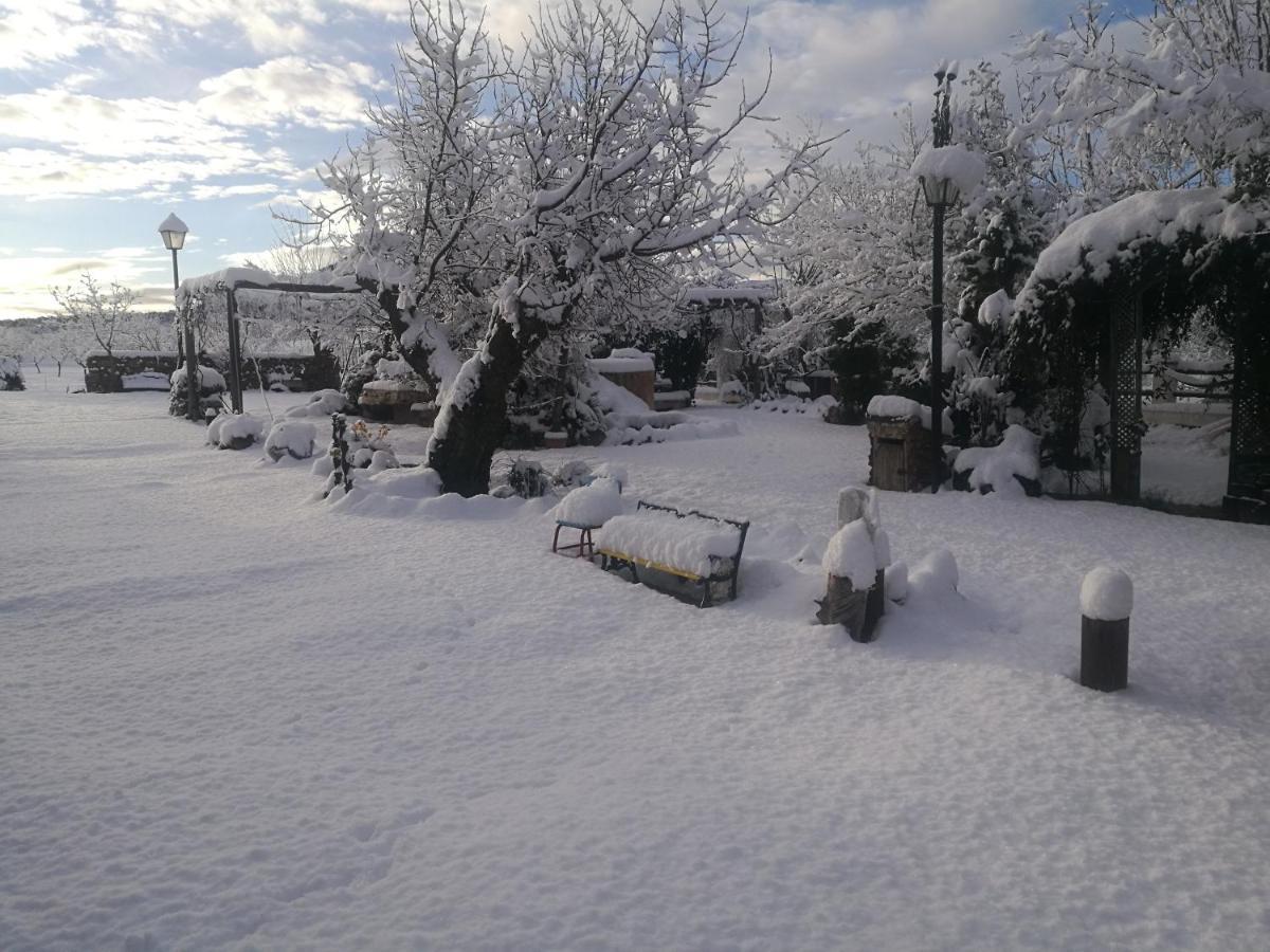 Cortijo Los Soledad El Sauco 外观 照片