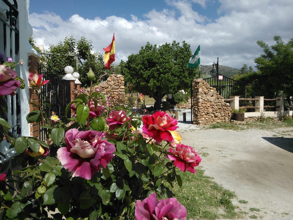 Cortijo Los Soledad El Sauco 外观 照片