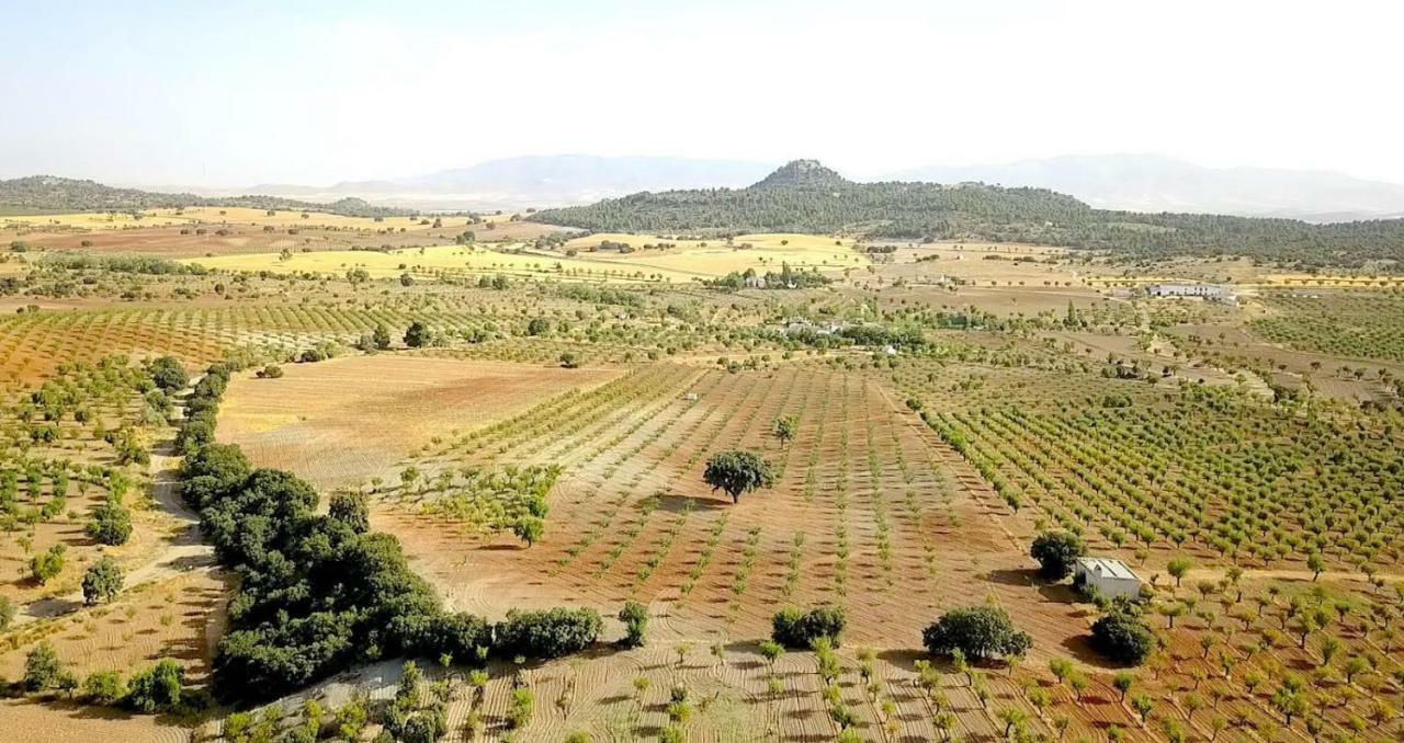 Cortijo Los Soledad El Sauco 外观 照片